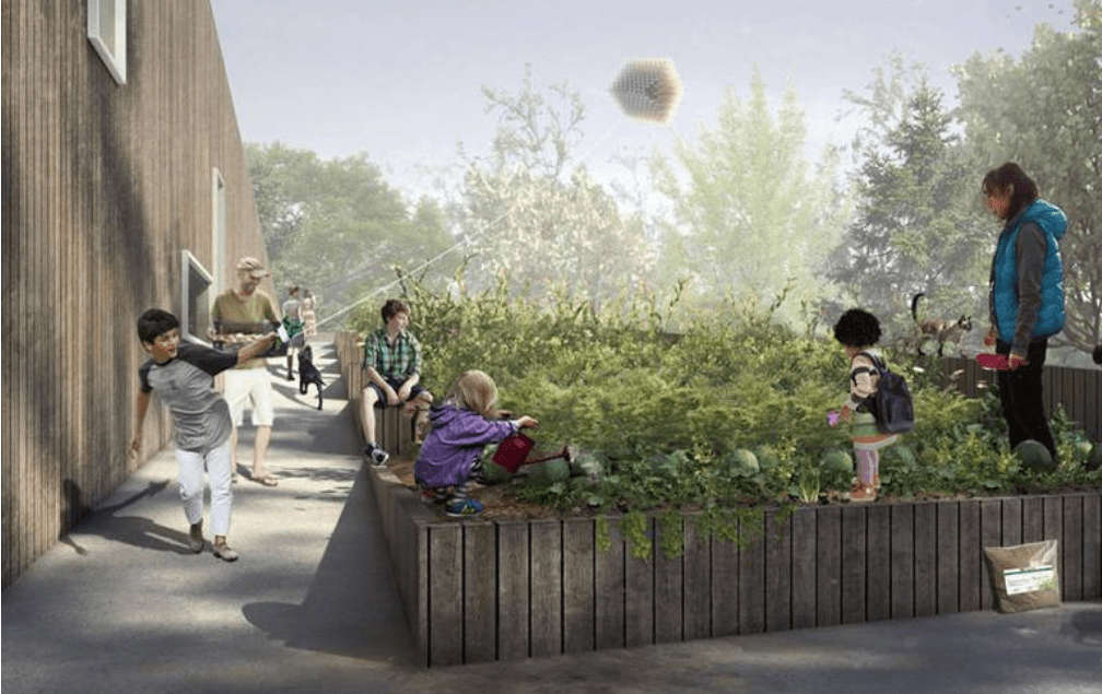 Calgary Condo Green Roof_CAN Green Roofs Australasia